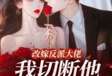 改嫁反派大佬，我切断他黑化根源！（江知微萧著）全章小说阅读-荏苒文学