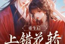 重生后,上错花轿嫁对纨绔(谢北洺沈云舒)小说推荐重生后,上错花轿嫁对纨绔全章小说阅读-荏苒文学