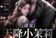 甜宠：天降小茉莉住进了我家推荐完结小说甜宠：天降小茉莉住进了我家(沈津南林听)免费小说全本-荏苒文学