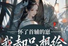 怀了首辅的崽，我却只想给娃找后爹裴砚声崔令宜完结小说推荐怀了首辅的崽，我却只想给娃找后爹全本书籍阅读-荏苒文学