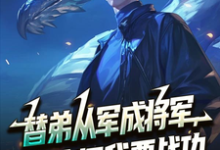 替弟从军成将军，归来问我要战功叶临渊最新完结小说，替弟从军成将军，归来问我要战功全本免费在线阅读-荏苒文学