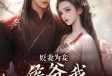 贬妻为妾，侯爷我不伺候啦慎如余启免费小说贬妻为妾，侯爷我不伺候啦推荐完结小说-荏苒文学