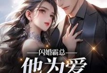 闪婚霸总,他为爱抛弃一切最新章节阅读闪婚霸总,他为爱抛弃一切(苏绿柔厉墨焱)试读更新章节-荏苒文学