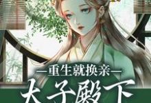 (全文)重生就换亲,太子殿下被钓翘嘴了完结小说推荐宋婉宁萧承瑾全本书籍阅读-荏苒文学