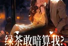 绿茶敢暗算我？姐分分钟让你哭最新章节阅读绿茶敢暗算我？姐分分钟让你哭(裴瑾珩孟听禾)试读更新章节-荏苒文学
