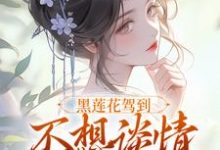黑莲花驾到不想谈情只想晋升宁司寒林妩完结小说推荐黑莲花驾到不想谈情只想晋升全本书籍阅读-荏苒文学
