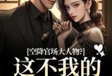 空降官场大人物？这不我的裙下臣吗（顾杳周政良）全章小说阅读-荏苒文学