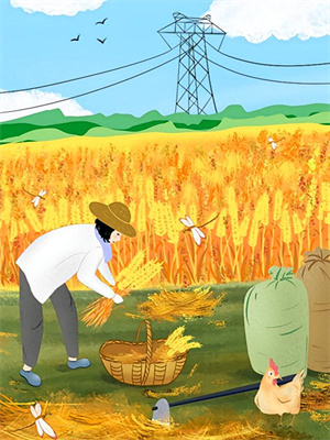 穿越后，皇后她秘密一个都没捂住凤长夜祝无欢热门小说排行榜穿越后，皇后她秘密一个都没捂住免费小说