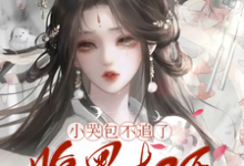 小哭包不追了，腹黑权臣悔断肠郑玉晚完结小说推荐，小哭包不追了，腹黑权臣悔断肠全章小说阅读-荏苒文学