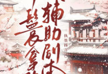 (全文)丫鬟拿稳辅助剧本(傅初霁)全本书籍阅读丫鬟拿稳辅助剧本免费小说全本-荏苒文学