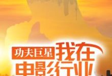 (全文)功夫巨星:我在电影行业做武替(唐龙)全本免费在线阅读-荏苒文学