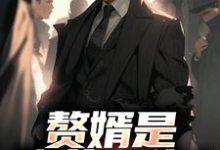 萧别离赘婿是隐藏大佬?前妻哭晕全本免费在线阅读-荏苒文学