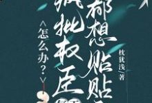 怎么办？疯批权臣每天都想贴贴我完整版小说，怎么办？疯批权臣每天都想贴贴我顾轻舟全章小说阅读-荏苒文学