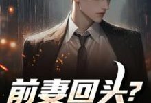 前妻回头？可惜，迟了！推荐完结小说前妻回头？可惜，迟了！(秦风)免费小说全本-荏苒文学