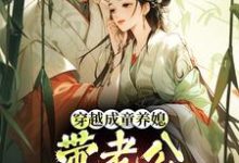 林十七穿越成童养媳,带老公荒年发大财全本免费在线阅读-荏苒文学