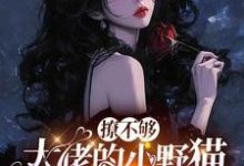 (全文)撩不够，大佬的小野猫又欲又嚣张（陆晨矅）全本书籍阅读撩不够，大佬的小野猫又欲又嚣张免费小说全本-荏苒文学