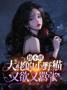 (全文)撩不够，大佬的小野猫又欲又嚣张（陆晨矅）全本书籍阅读撩不够，大佬的小野猫又欲又嚣张免费小说全本