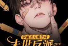 (全文)笨蛋美人重生成末世反派的男友后免费小说全本，沈绵叶瑾修试读更新章节-荏苒文学