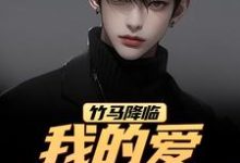 (全文)竹马降临，我的爱瞬间扫地（江书正）全本书籍阅读竹马降临，我的爱瞬间扫地免费小说全本-荏苒文学