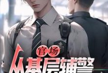 官场：从基层辅警开始崛起推荐完结小说，官场：从基层辅警开始崛起王初一免费小说全本-荏苒文学