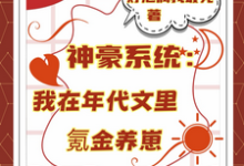 神豪系统：我在年代文里氪金养崽（叶晓琳）小说推荐神豪系统：我在年代文里氪金养崽全章小说阅读-荏苒文学