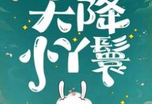 (全文)天降小丫鬟(夏夏)试读更新章节天降小丫鬟免费小说-荏苒文学
