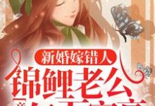 (全文)新婚嫁错人，锦鲤老公竟是亿万富豪安浅最新完结小说新婚嫁错人，锦鲤老公竟是亿万富豪免费小说全本-荏苒文学