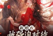 新婚夜被强迫对待,这叫不近女色?谢临珩虞听晚最新完结小说,新婚夜被强迫对待,这叫不近女色?全本免费在线阅读-荏苒文学