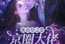 (全文)薰衣草之恋,京圈大佬暗恋我(宁清灵)试读更新章节薰衣草之恋,京圈大佬暗恋我免费小说-荏苒文学