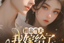 (全文)相亲当天,我嫁给了京都首富蓝冉完结小说推荐相亲当天,我嫁给了京都首富试读更新章节-荏苒文学