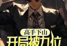 (全文)高手下山，开局被九位美女退婚（叶子风姜虞雪）全本书籍阅读高手下山，开局被九位美女退婚免费小说全本-荏苒文学
