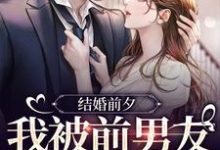 结婚前夕,我被前男友带走了完整版小说结婚前夕,我被前男友带走了(薄寒深曲南枝)全章小说阅读-荏苒文学