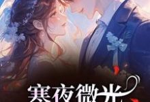 (全文)寒夜微光:她的逆袭人生(袁小苔)全本免费在线阅读-荏苒文学