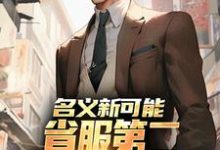 (全文)名义新可能:省服第二能否逆转大局免费小说全本,萧承试读更新章节-荏苒文学