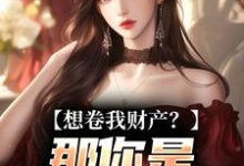 舒楹想卷我财产？那你是碰到铁板了全本免费在线阅读-荏苒文学