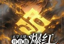 玄学大佬开直播，爆红阴阳两界最新章节阅读玄学大佬开直播，爆红阴阳两界(虞初见孟白首)试读更新章节-荏苒文学