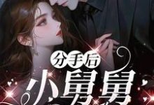分手后，小舅舅夜夜洗床单（沈锦悦）全章小说阅读-荏苒文学