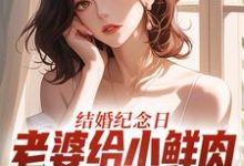 (全文)结婚纪念日，老婆给小鲜肉打榜应援完结小说推荐叶一帆全本书籍阅读-荏苒文学