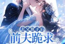 (全文)去父留子后，前夫跪求伺候我月子！（林亦棠）试读更新章节去父留子后，前夫跪求伺候我月子！免费小说-荏苒文学