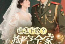 (全文)逼我下放？掏空全家挺孕肚随军去热门小说排行榜，逼我下放？掏空全家挺孕肚随军去桑榆晚全章小说阅读-荏苒文学