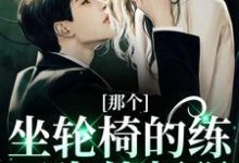 (全文)那个坐轮椅的练习生他超强(江北生)全本免费在线阅读-荏苒文学