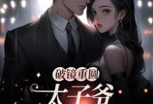 破镜重圆：太子爷他太霸道黎念靳宴深试读更新章节破镜重圆：太子爷他太霸道黎念靳宴深免费小说-荏苒文学
