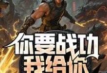(全文)你要战功我给你，妖兽入侵你哭啥(叶天)全本免费在线阅读-荏苒文学