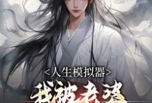 (全文)人生模拟器：我被老婆逼成世间极境（白棋陈北玄）全本书籍阅读人生模拟器：我被老婆逼成世间极境免费小说全本-荏苒文学