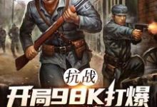 (全文)抗战：开局98K打爆大佐狗头（林平安）全本书籍阅读抗战：开局98K打爆大佐狗头免费小说全本-荏苒文学