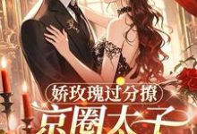 娇玫瑰过分撩，京圈太子底线全抛热门小说排行榜娇玫瑰过分撩，京圈太子底线全抛邓恩雅免费小说全本-荏苒文学