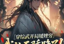 穿综武开局矮矬穷,我让天骄跪了!完整版小说,穿综武开局矮矬穷,我让天骄跪了!武直试读更新章节-荏苒文学