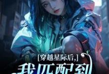 穿越星际后,我匹配到九个大冤种洛千试读更新章节穿越星际后,我匹配到九个大冤种洛千免费小说-荏苒文学