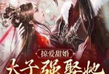 掠爱甜婚：太子强娶她入东宫贺玥完结小说推荐掠爱甜婚：太子强娶她入东宫全本书籍阅读-荏苒文学