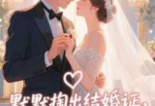 (全文)默默掏出结婚证,我的老公好奶完结小说推荐宋禧全本书籍阅读-荏苒文学